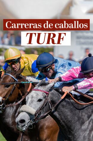 Carreras de Caballos- Turf (T2025): 01/06/2025 Hipódromo de la Zarzuela Carreras de Caballos- Turf (T2025): 01/06/2025 Hipódromo de la Zarzuela