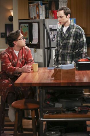 Big Bang (T7): Ep.12 La ramificación de la indecisión Big Bang (T7): Ep.12 La ramificación de la indecisión