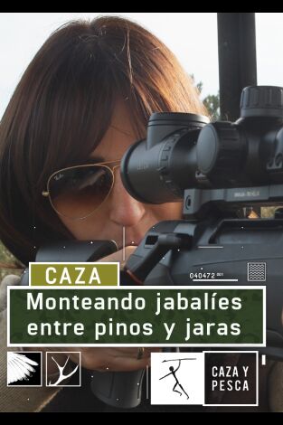 Monteando jabalíes entre pinos y jaras Monteando jabalíes entre pinos y jaras