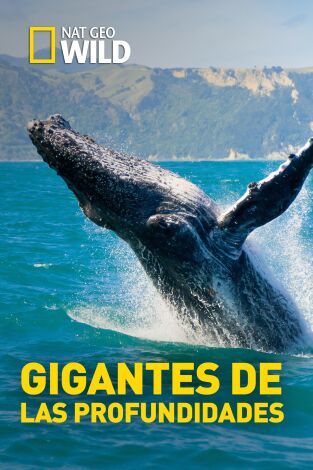 Gigantes de las profundidades Gigantes de las profundidades