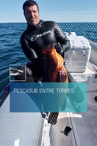 Pescasub entre torres Pescasub entre torres