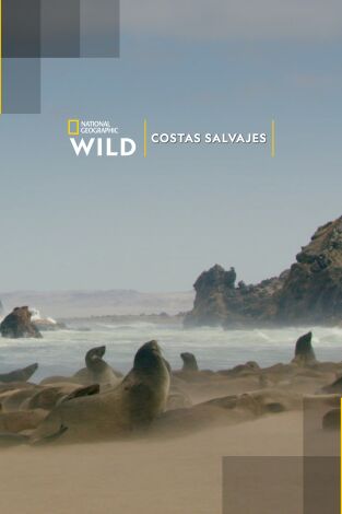 Costas Salvajes Costas Salvajes