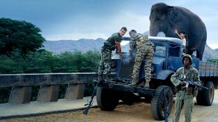 Operación elefante Operación elefante