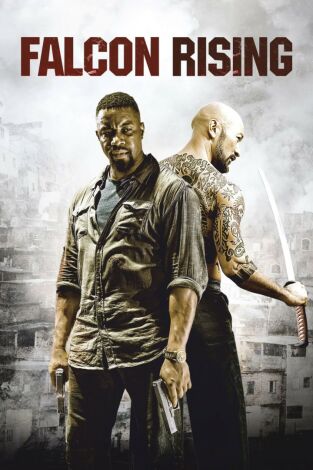 El regreso de Falcon El regreso de Falcon