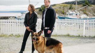 Hudson y Rex (T5): Ep.14 Rex a escena Hudson y Rex (T5): Ep.14 Rex a escena