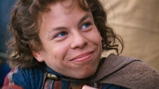 Willow Willow