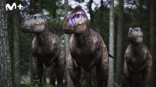 Caminando entre dinosaurios: La manada de Albertosaurus Caminando entre dinosaurios: La manada de Albertosaurus