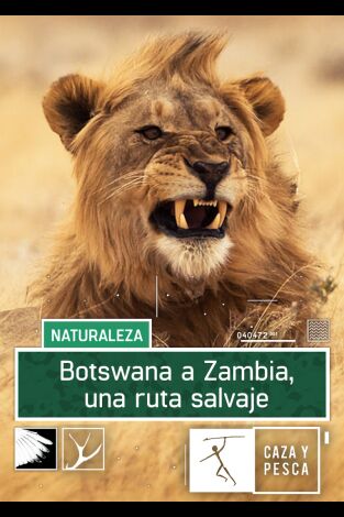 Botswana a Zambia una ruta salvaje Botswana a Zambia una ruta salvaje