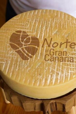El queso relatado El queso relatado