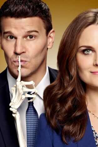 Bones (T9): Ep.19 El turno en la urna Bones (T9): Ep.19 El turno en la urna
