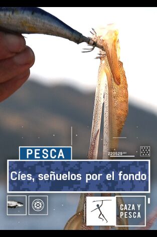 Cíes, señuelos por el fondo Cíes, señuelos por el fondo