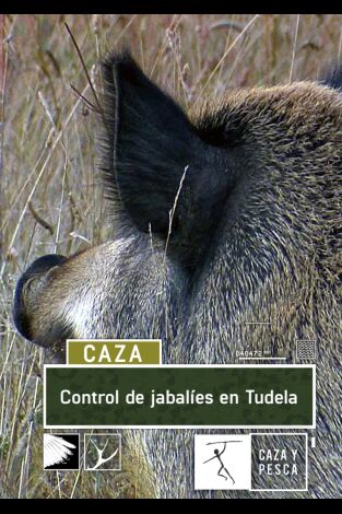 Control de jabalíes en Tudela Control de jabalíes en Tudela
