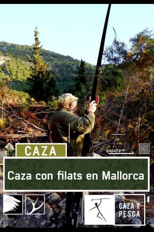 Caza con filats en Mallorca Caza con filats en Mallorca