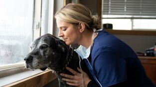Veterinarios de Nebraska: Celebración en Nebraska