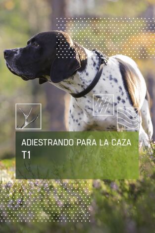 Adiestrando para la caza: La cría