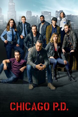 Chicago P.D. (T3): Ep.7 Un niño muerto, un cuaderno y muchos quizas