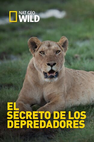 El secreto de los depredadores: Bajo el agua