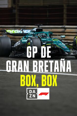 Mundial F1 - GP de Gran Bretaña (T2025): Box, Box