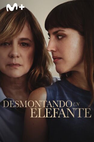 Desmontando un elefante Desmontando un elefante