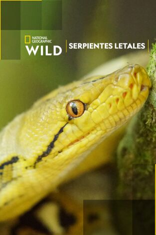 Serpientes letales Serpientes letales
