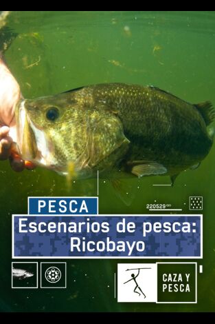 Escenarios de pesca: Ricobayo Escenarios de pesca: Ricobayo