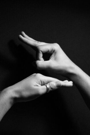 En lengua de signos En lengua de signos