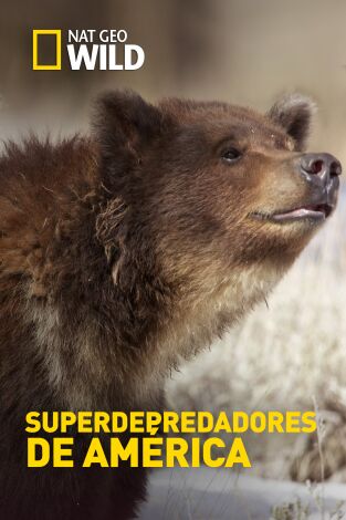 Superdepredadores de América Superdepredadores de América
