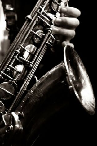 Gasteizko Jazzaldia Gasteizko Jazzaldia