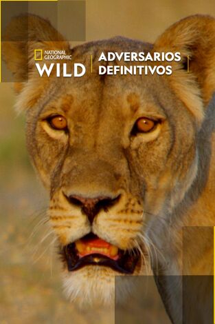 Adversarios definitivos Adversarios definitivos