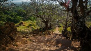 Tesoros perdidos de Angkor: el antiguo Laos al descubierto: El descubrimiento Tesoros perdidos de Angkor: el antiguo Laos al descubierto: El descubrimiento