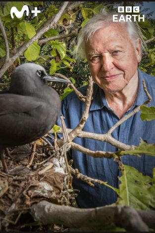 La gran aventura de David Attenborough: Episodio 2 La gran aventura de David Attenborough: Episodio 2