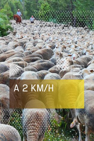 A 2 km/h: El reto A 2 km/h: El reto