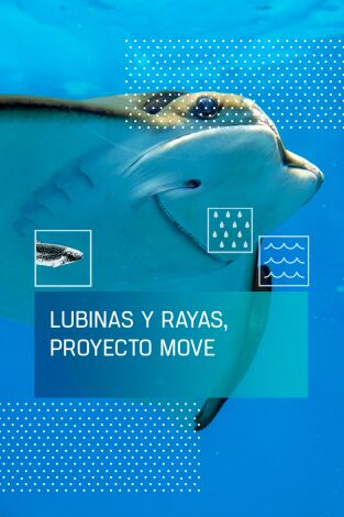 Lubinas y rayas, proyecto Move Lubinas y rayas, proyecto Move