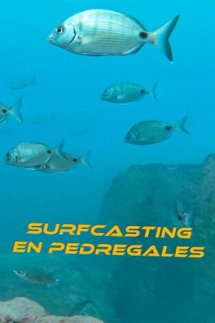 Surfcasting en pedregales Surfcasting en pedregales