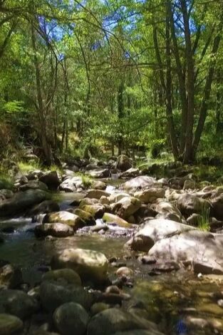 Parques naturales Parques naturales