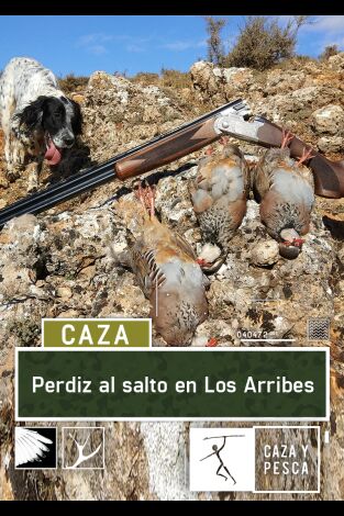 Perdiz al salto en Los Arribes Perdiz al salto en Los Arribes