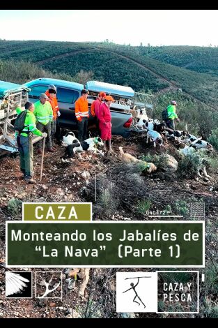 Monteando los jabalies de La Nava. 1º Parte Monteando los jabalies de La Nava. 1º Parte