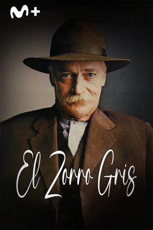 El zorro gris El zorro gris
