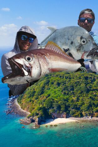 Islas de coral Islas de coral