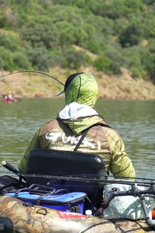 Mlf Patos 2024 Mlf Patos 2024