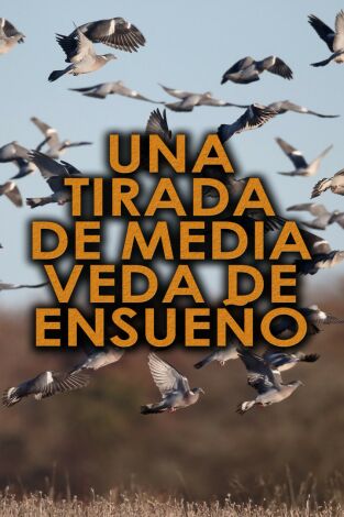 Una tirada de media veda de ensueño Una tirada de media veda de ensueño