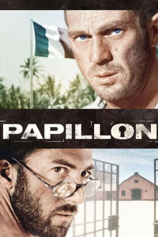 Papillon Papillon