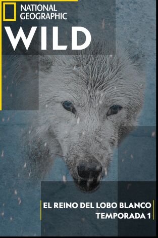 El reino del lobo blanco: La búsqueda El reino del lobo blanco: La búsqueda