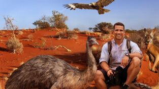 Superviviente por naturaleza: Náufragos en una isla Superviviente por naturaleza: Náufragos en una isla