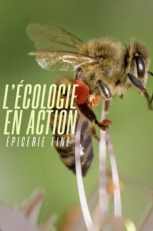 L'écologie en action L'écologie en action