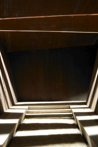 Animals arquitectes: Mesura Animals arquitectes: Mesura