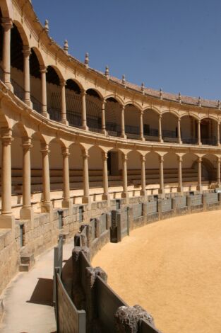 Novillada: Desde Las Navas de San Juan (Jaén)