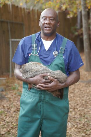 Critter fixers: Veterinarios rurales: Piel de gallina Critter fixers: Veterinarios rurales: Piel de gallina