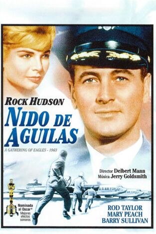 Nido de águilas