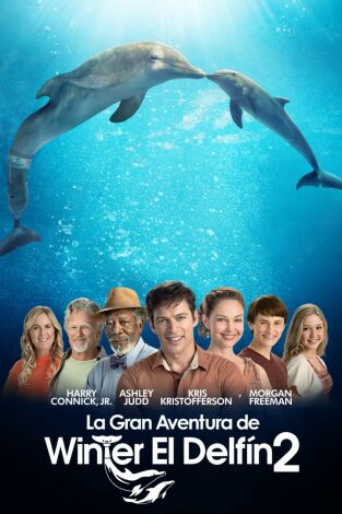 La gran aventura de Winter el delfín 2 La gran aventura de Winter el delfín 2